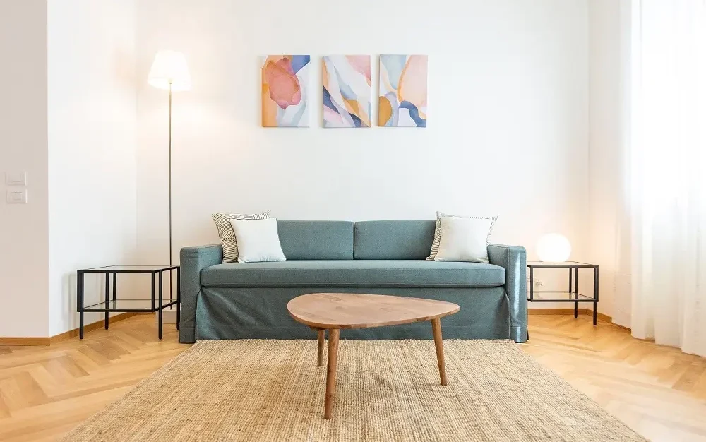 Image hover effect image